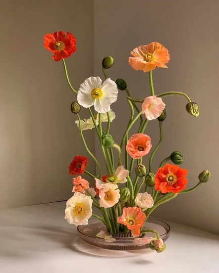 Airy orange and white poppy ikebana arrangement